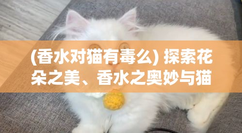 (香水对猫有毒么) 探索花朵之美、香水之奥妙与猫的优雅世界：一场感官与情感的绚烂之旅